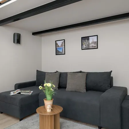 Functional Air-conditioned With A Mezzanine By Renters Διαμέρισμα Krasków