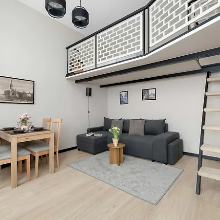 Functional Air-conditioned With A Mezzanine By Renters
